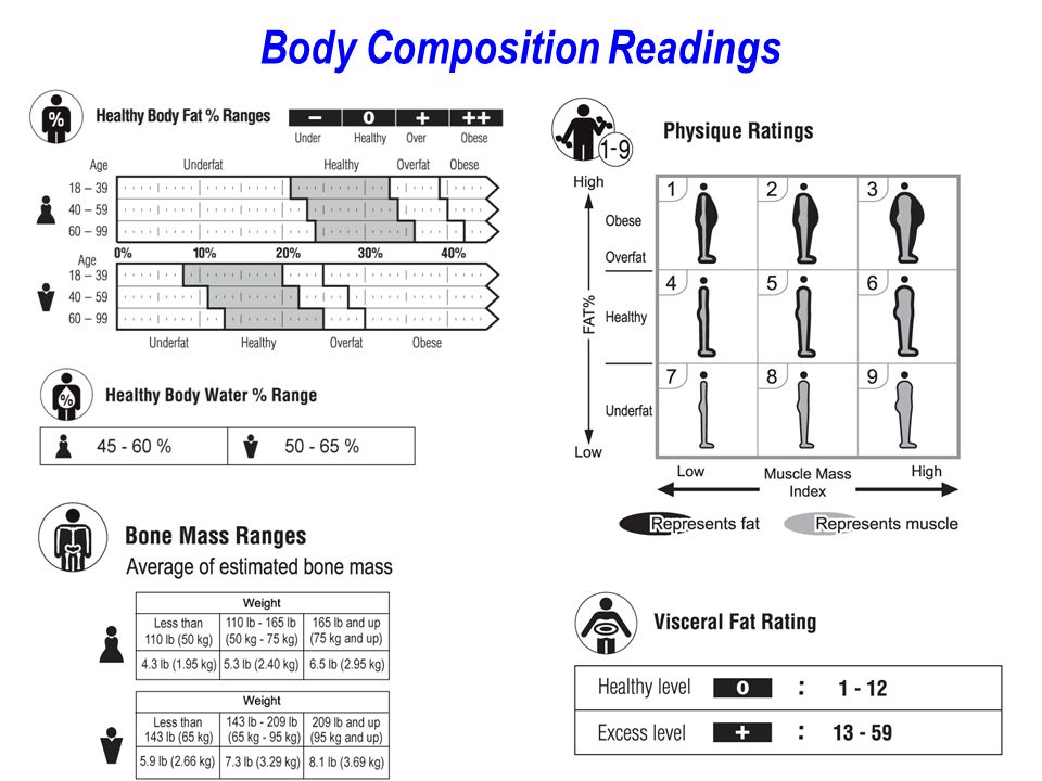 Tanita Body Composition Readings Chart