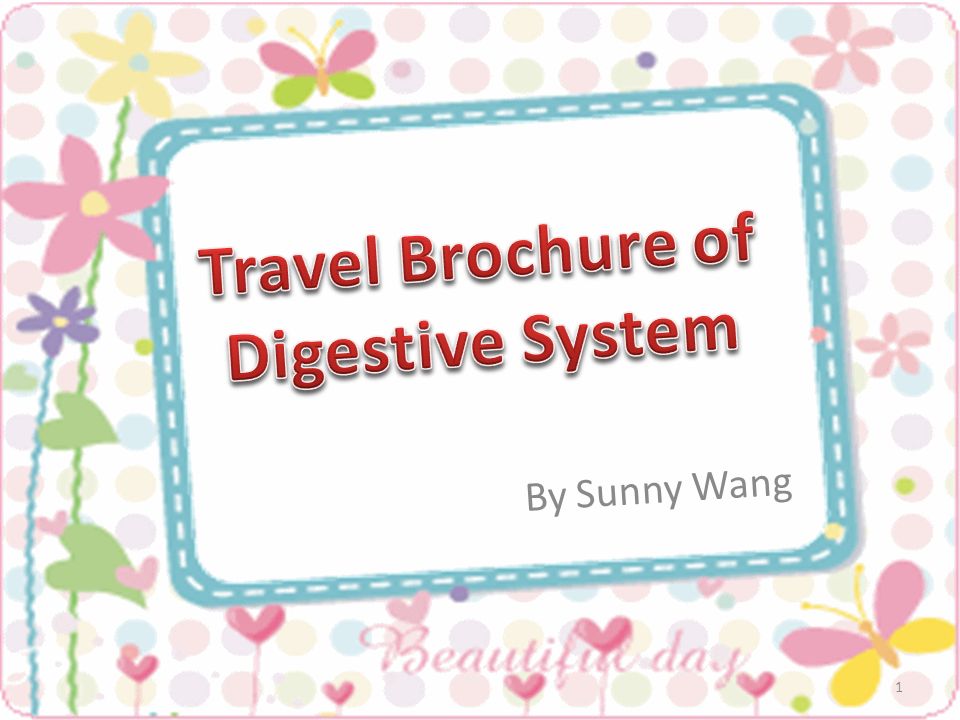Travel Brochure of Digestive System