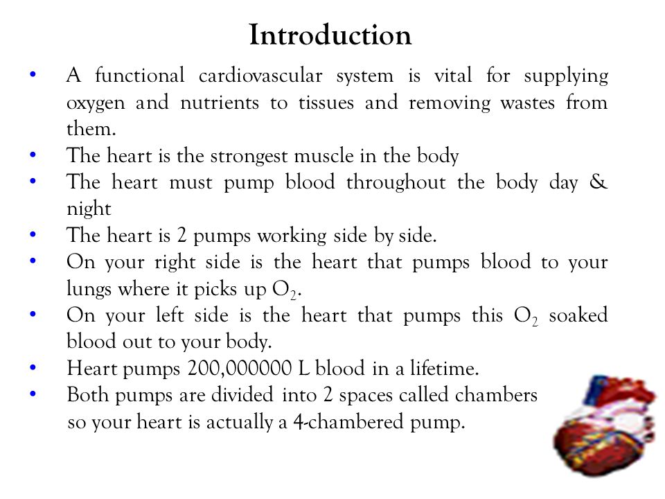 Introduction A functional cardiovascular system is vital for supplying oxygen and nutrients to tissues and removing wastes from them.