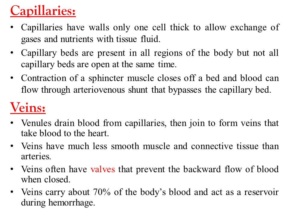 Capillaries: Capillaries have walls only one cell thick to allow exchange of gases and nutrients with tissue fluid.