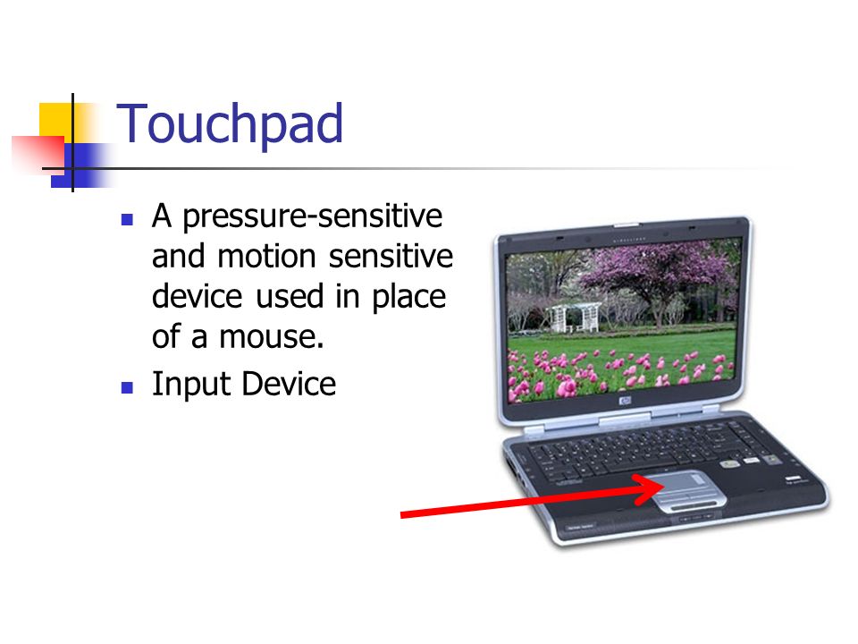 Touchpad A pressure-sensitive and motion sensitive device used in place of a mouse. Input Device