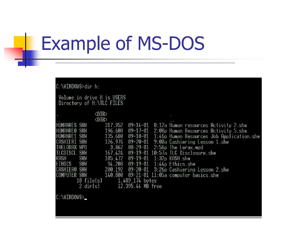 Example of MS-DOS