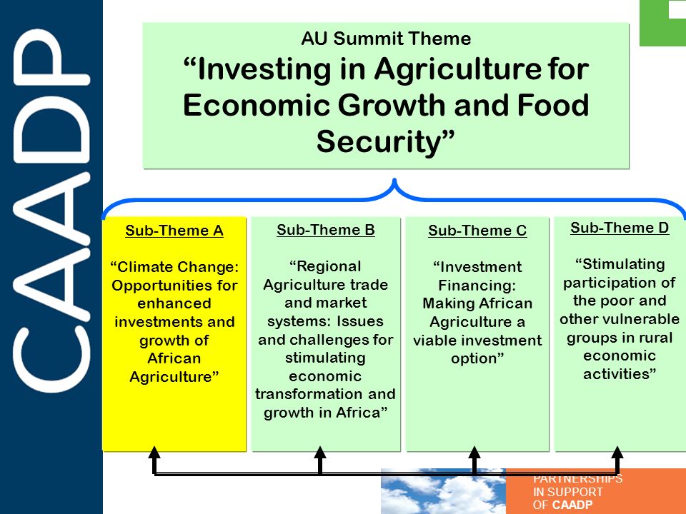 Investing in Agriculture for Economic Growth and Food Security