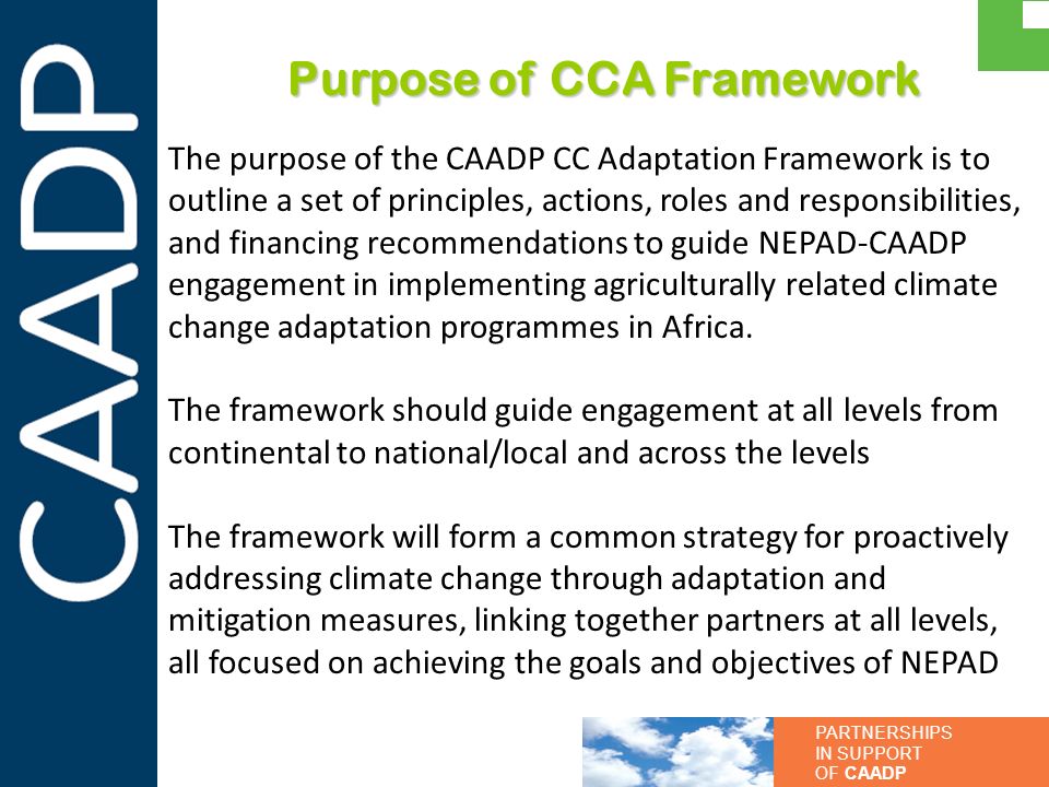 Purpose of CCA Framework