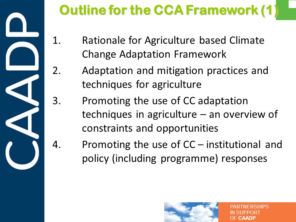 Outline for the CCA Framework (1)