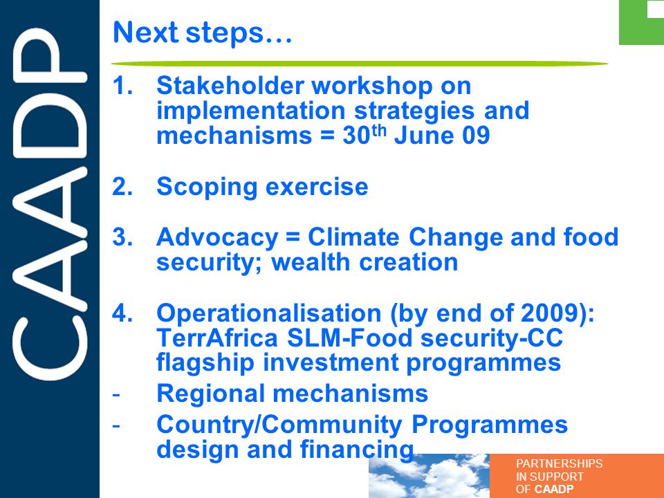 Next steps… Stakeholder workshop on implementation strategies and mechanisms = 30th June 09. Scoping exercise.
