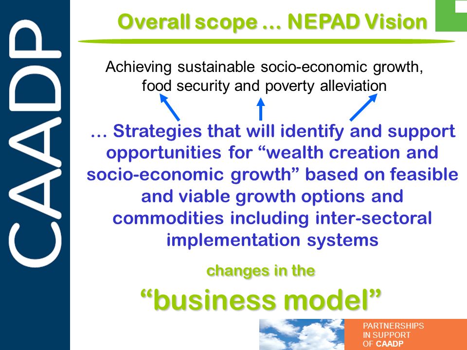 Overall scope … NEPAD Vision