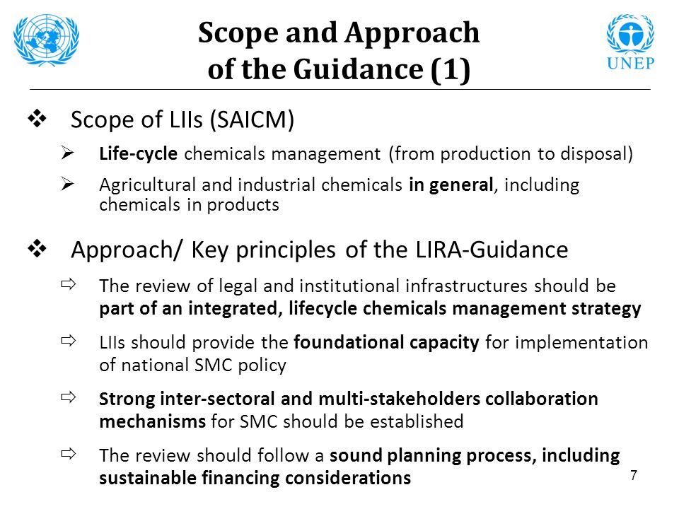 Scope and Approach of the Guidance (1)