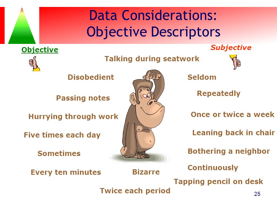 Data Considerations: Objective Descriptors