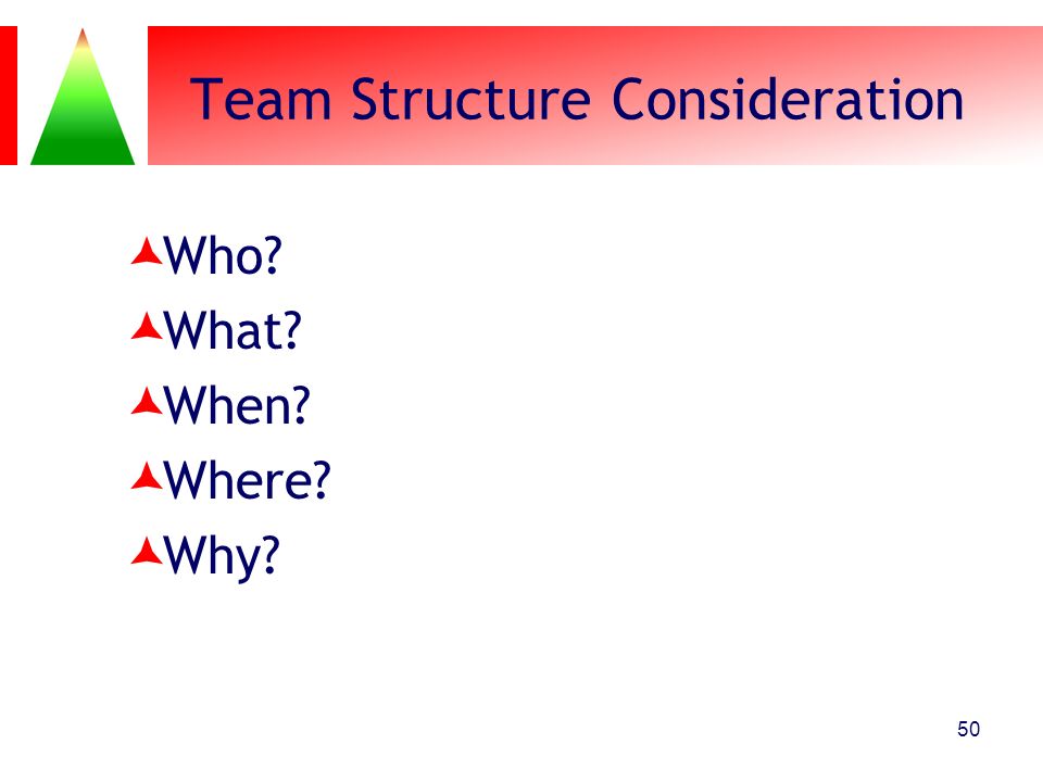 Team Structure Consideration