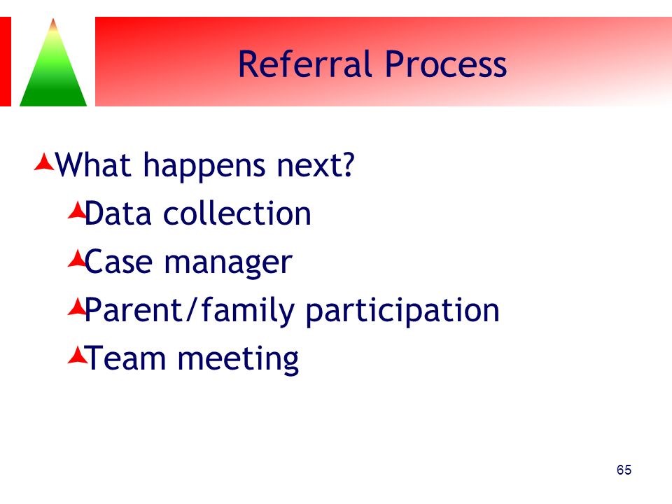 Referral Process What happens next Data collection Case manager