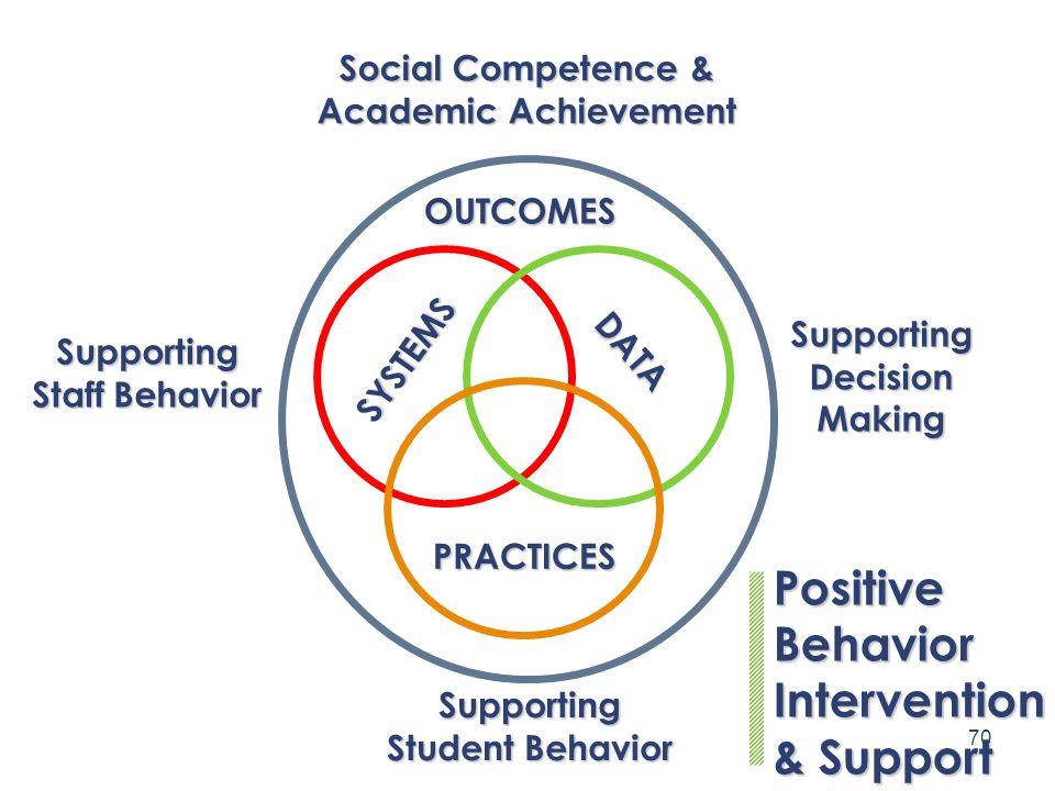 Positive Behavior Intervention & Support Social Competence &