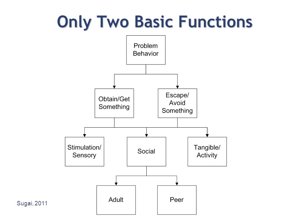 Only Two Basic Functions