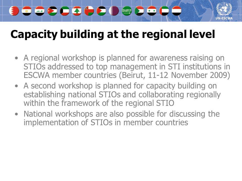 Capacity building at the regional level