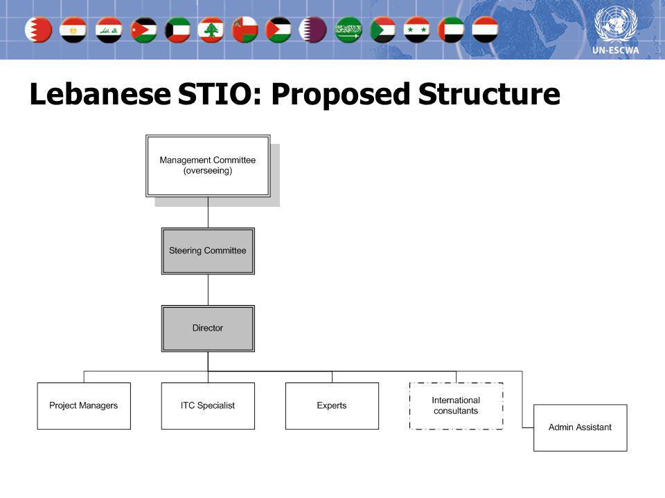 Lebanese STIO: Proposed Structure