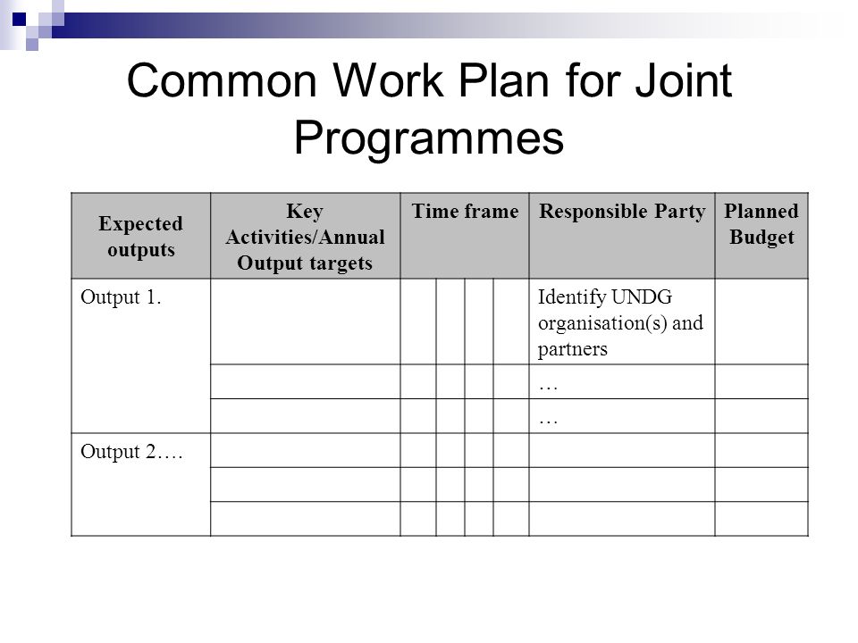 Common Work Plan for Joint Programmes