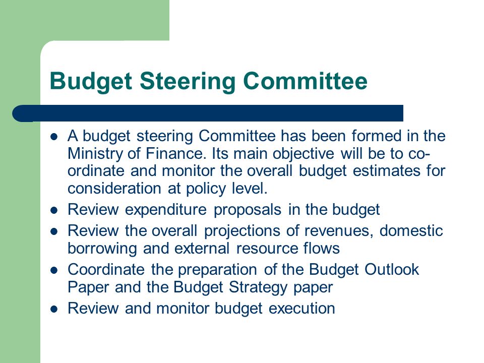 Budget Steering Committee