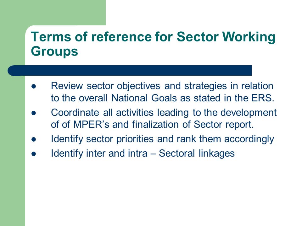 Terms of reference for Sector Working Groups