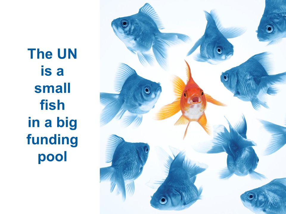 The UN is a small fish in a big funding pool