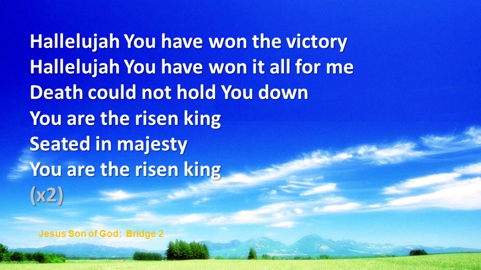 Hallelujah You have won the victory