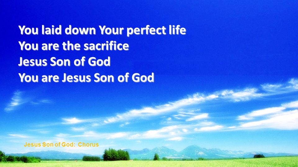 You laid down Your perfect life You are the sacrifice Jesus Son of God