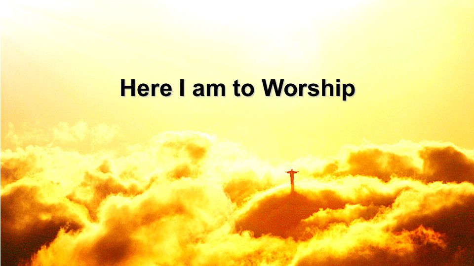 Here I am to Worship 8