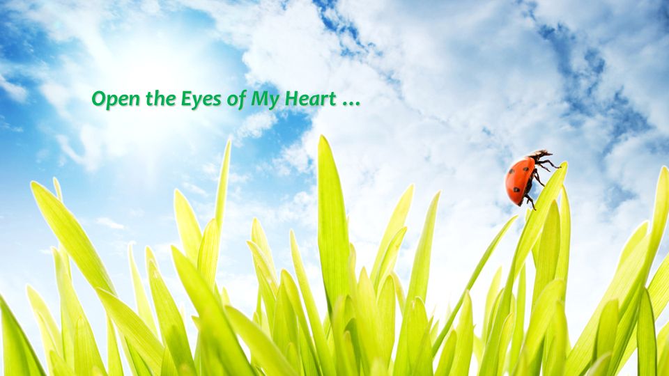 Open the Eyes of My Heart …
