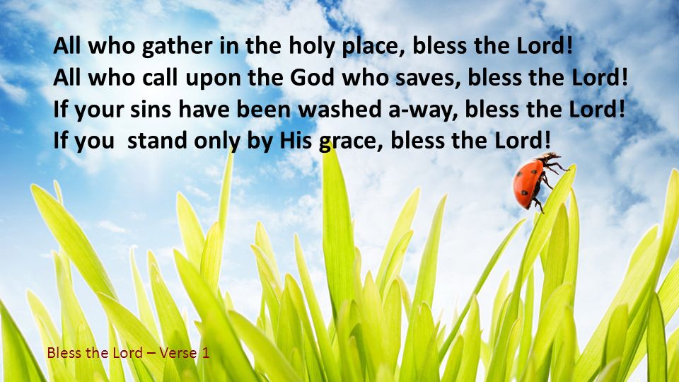 All who gather in the holy place, bless the Lord!