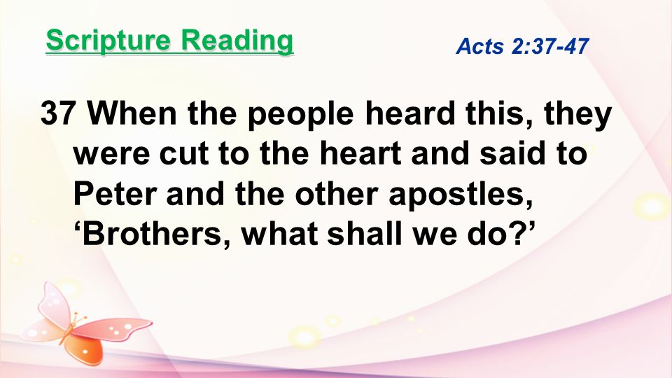 Scripture Reading Acts 2: