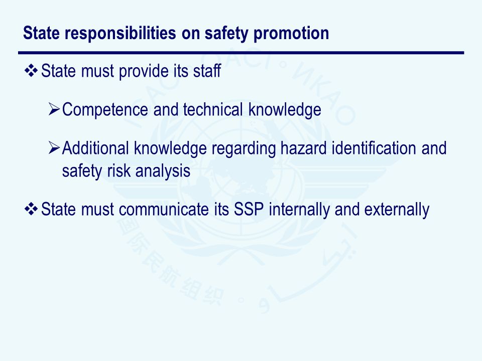 State responsibilities on safety promotion