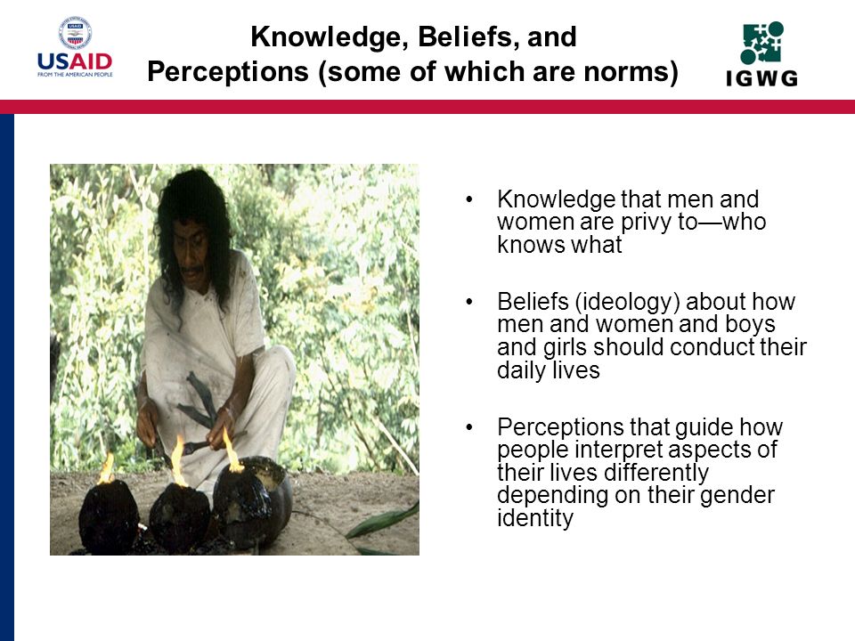 Knowledge, Beliefs, and Perceptions (some of which are norms)