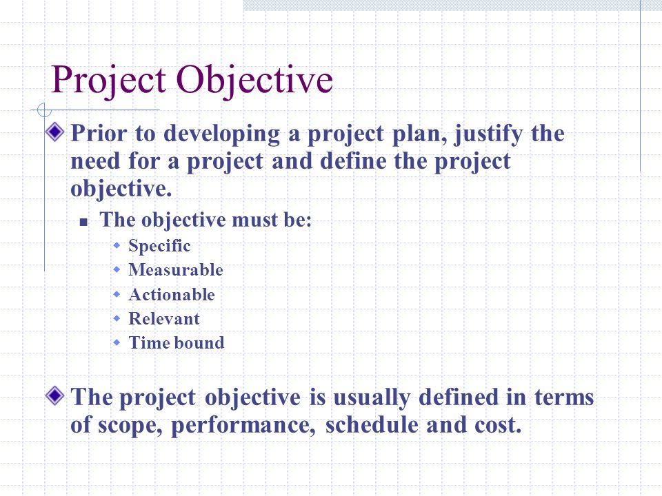 Project Objective Prior to developing a project plan, justify the need for a project and define the project objective.