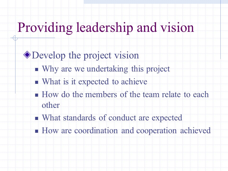 Providing leadership and vision
