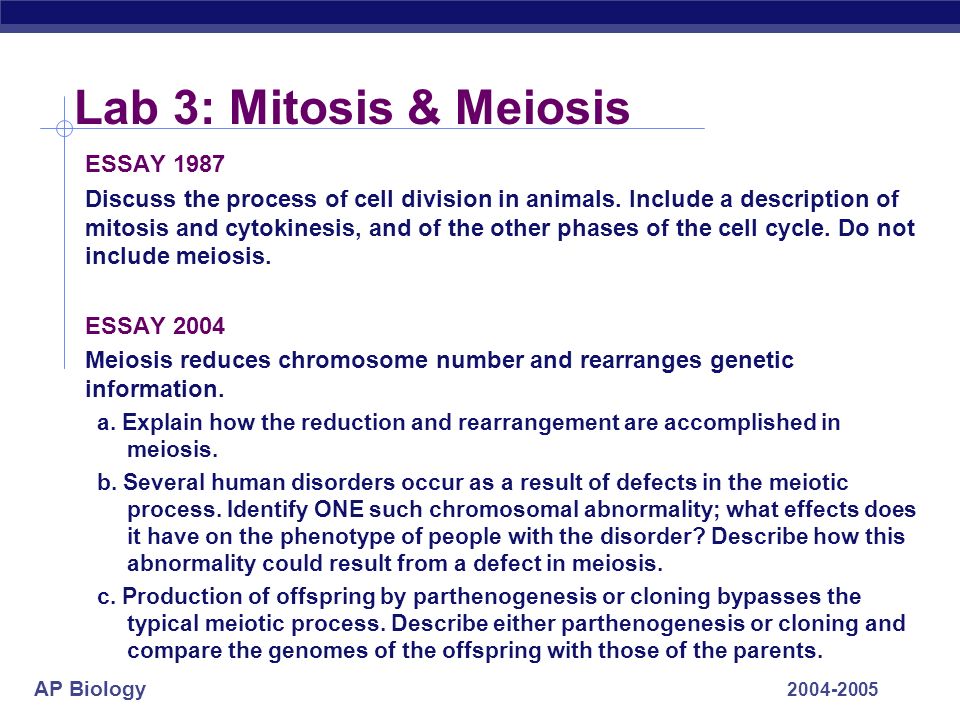 meiosis essay