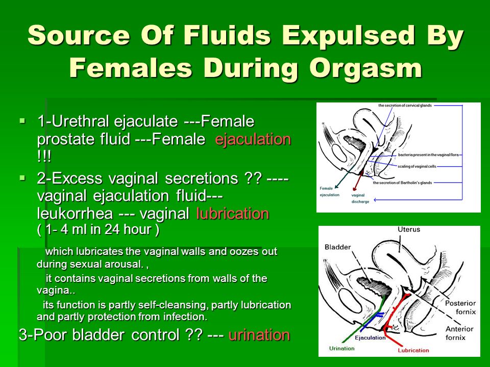 Squirting during sex is urine new study