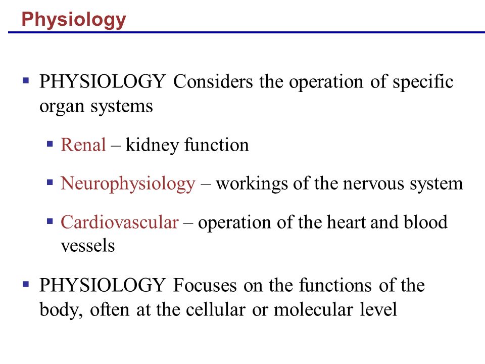 The Human Body: An Orientation Biology Diagrams