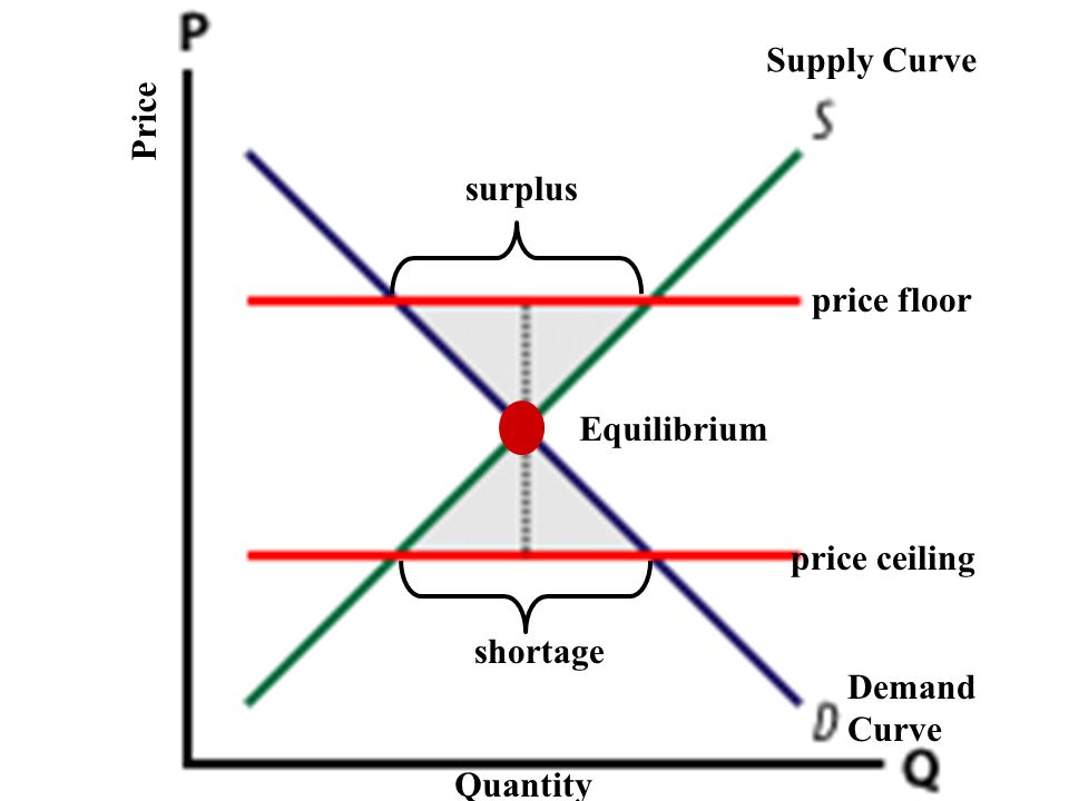 Equilibrium What Is The Equilibrium And Why Is It Important To