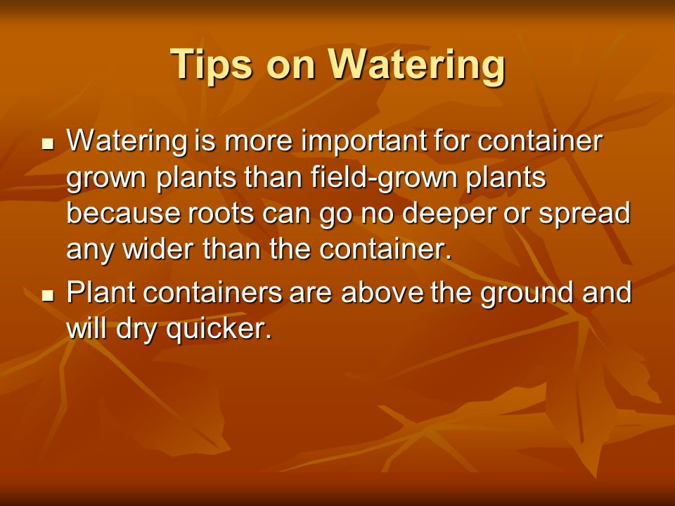 Tips on Watering
