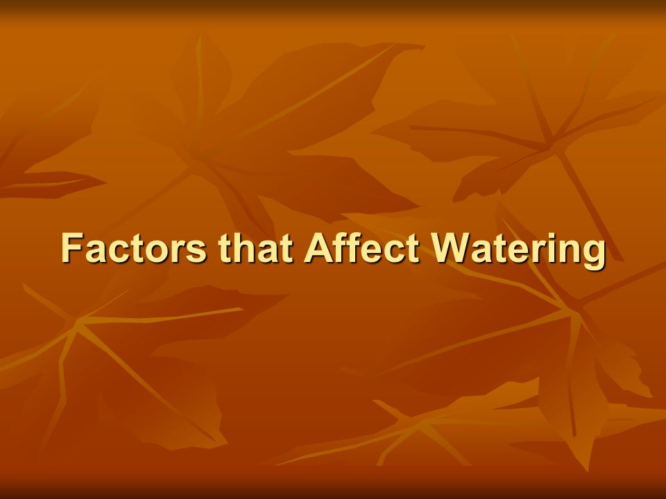 Factors that Affect Watering