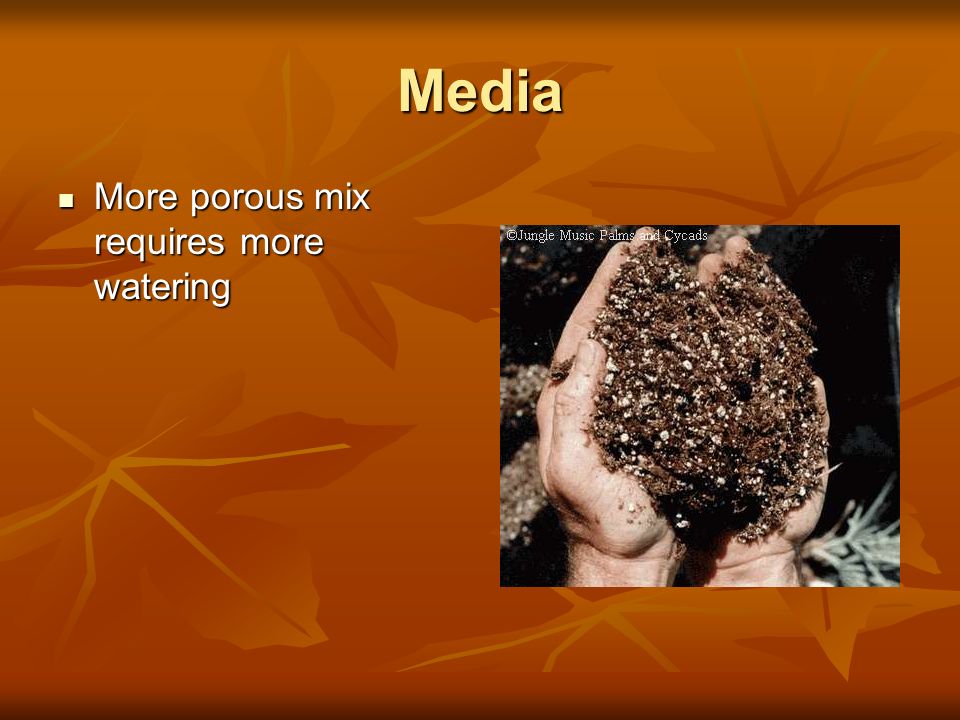 Media More porous mix requires more watering
