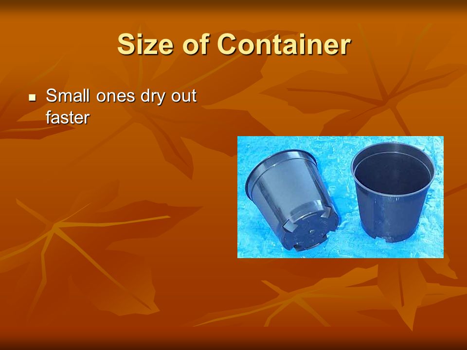 Size of Container Small ones dry out faster