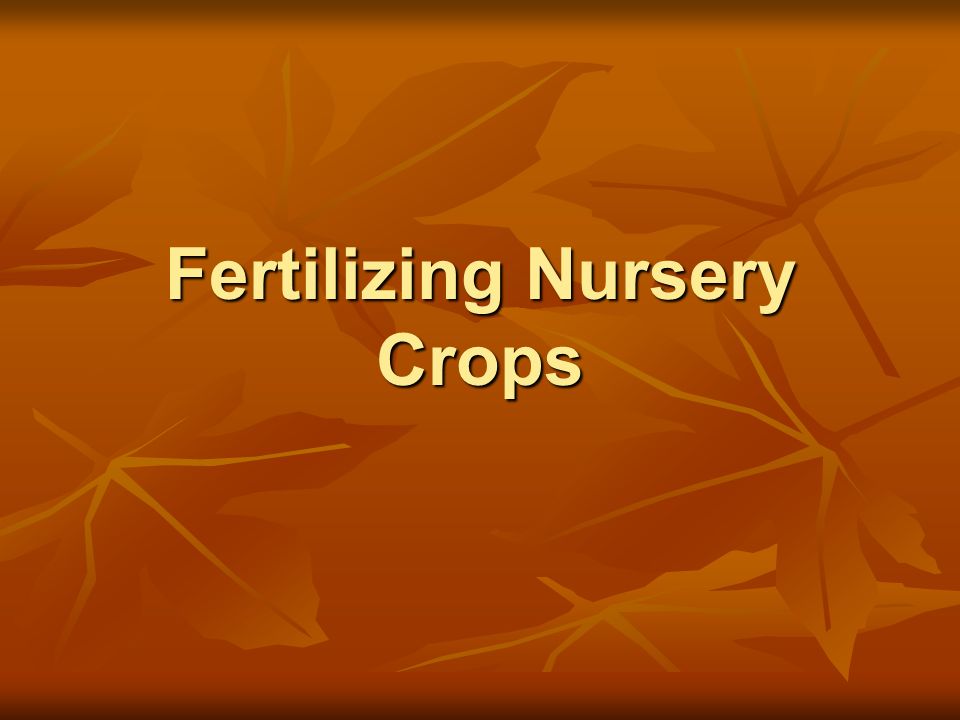 Fertilizing Nursery Crops