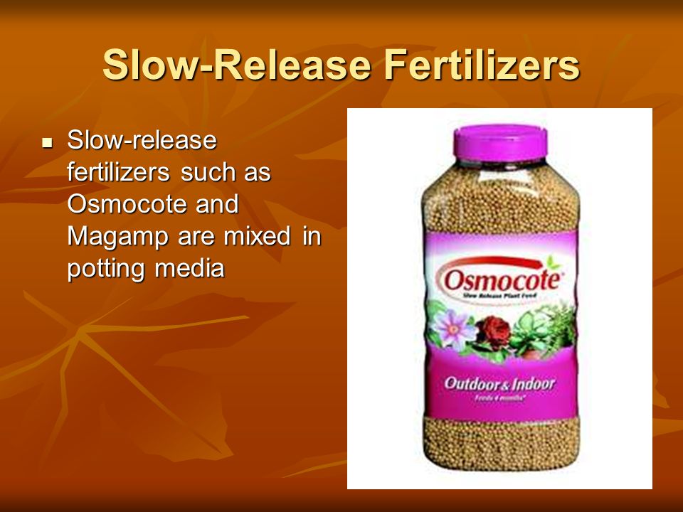 Slow-Release Fertilizers