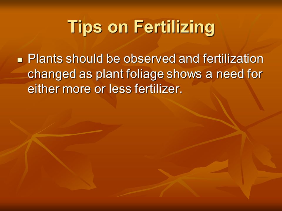 Tips on Fertilizing Plants should be observed and fertilization changed as plant foliage shows a need for either more or less fertilizer.