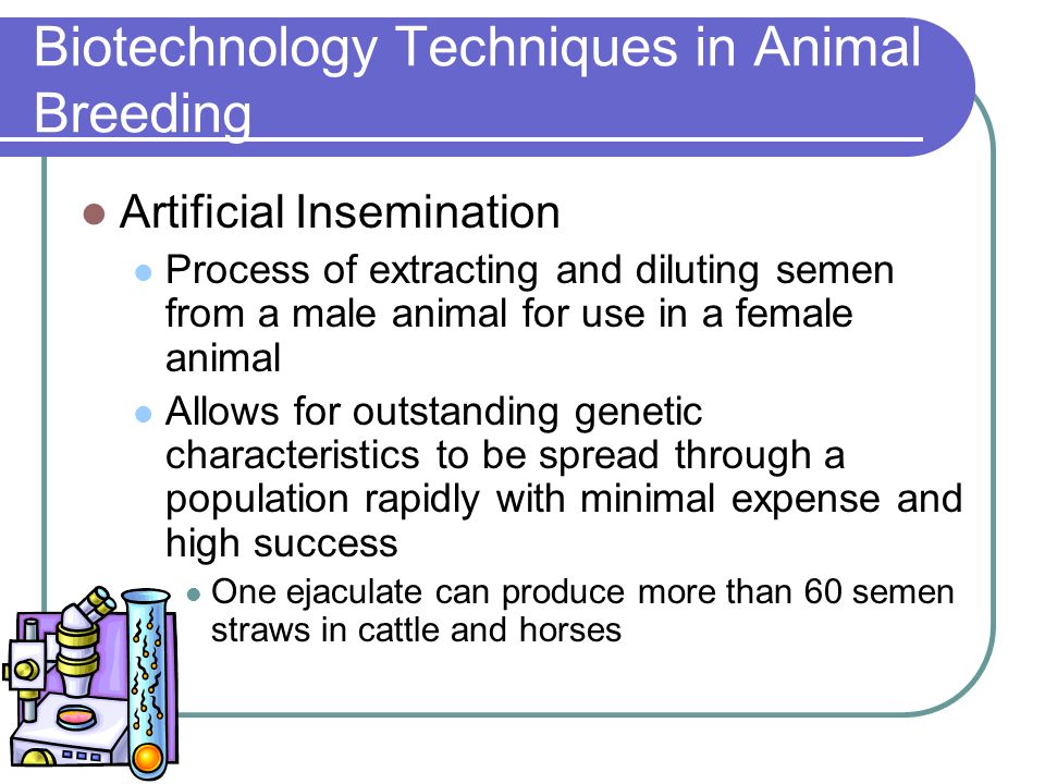 Animal Science and Biotechnology - ppt download