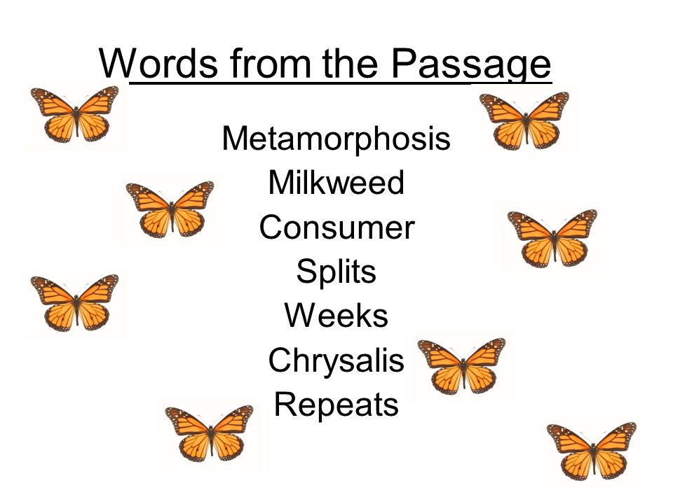 Words from the Passage Metamorphosis Milkweed Consumer Splits Weeks