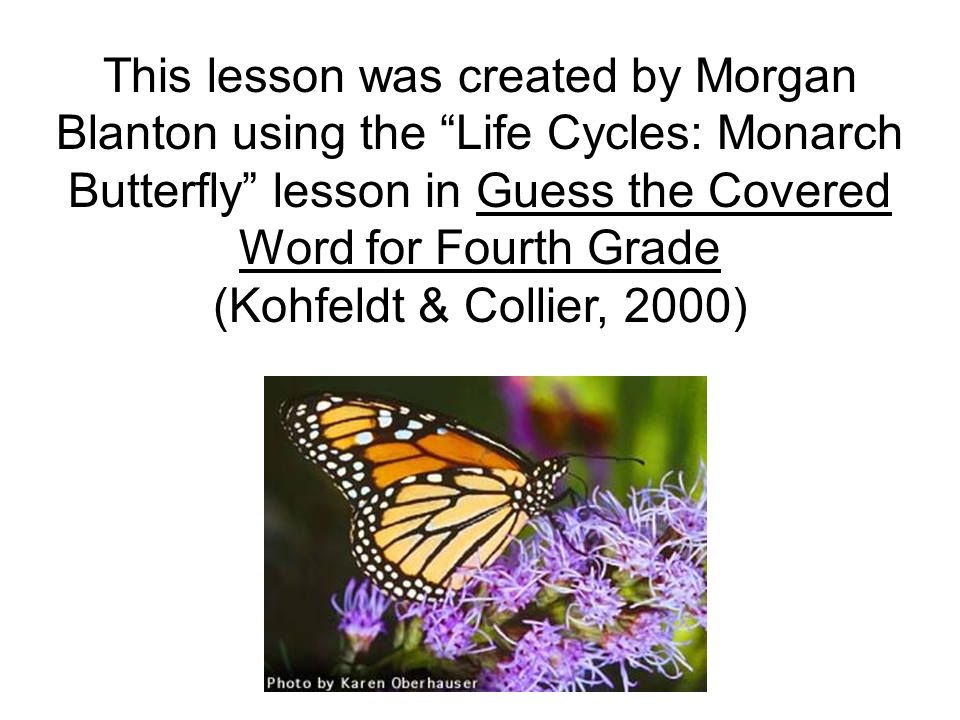 This lesson was created by Morgan Blanton using the Life Cycles: Monarch Butterfly lesson in Guess the Covered Word for Fourth Grade