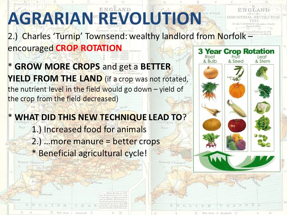 Agrarian Revolution 2.) Charles ‘Turnip’ Townsend: wealthy landlord from Norfolk – encouraged crop rotation.