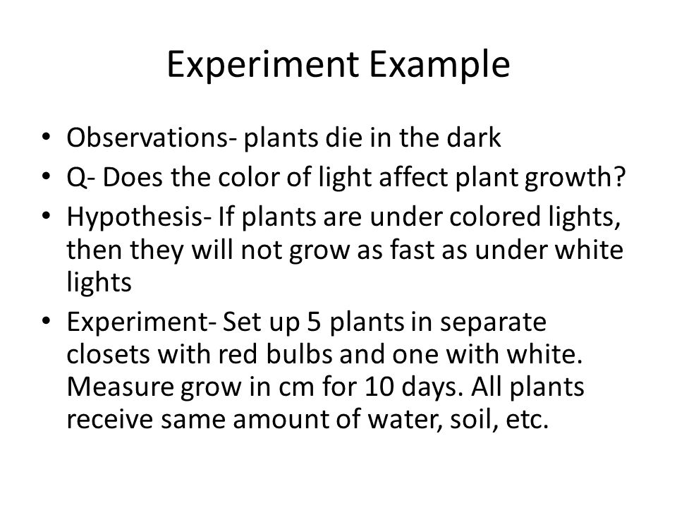 how does different color light affect plant growth experiment