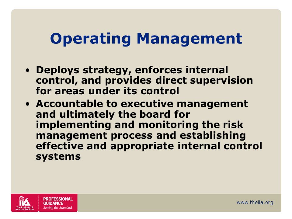 Operating Management Deploys strategy, enforces internal control, and provides direct supervision for areas under its control.